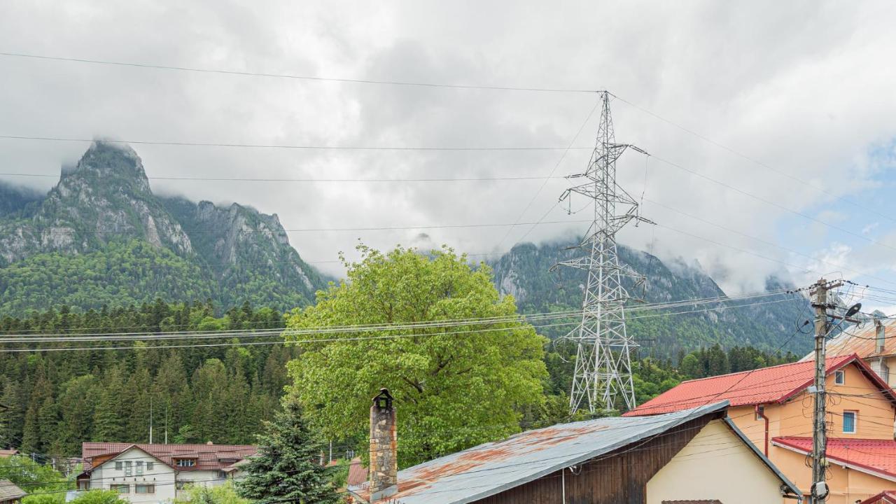 Hotel Casa Zura Buşteni Esterno foto