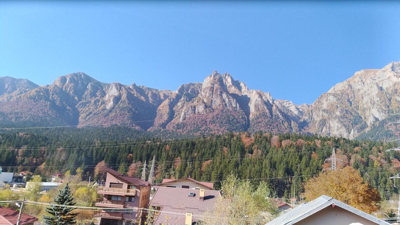 Hotel Casa Zura Buşteni Esterno foto